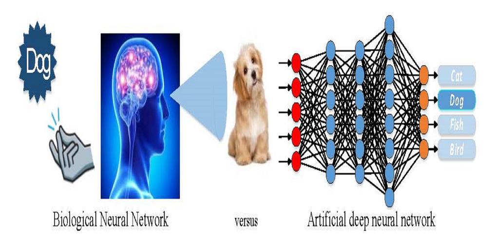 Advanced Deep Learning